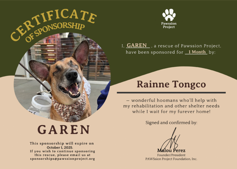 Please sponsor when you can! 🐶🐶